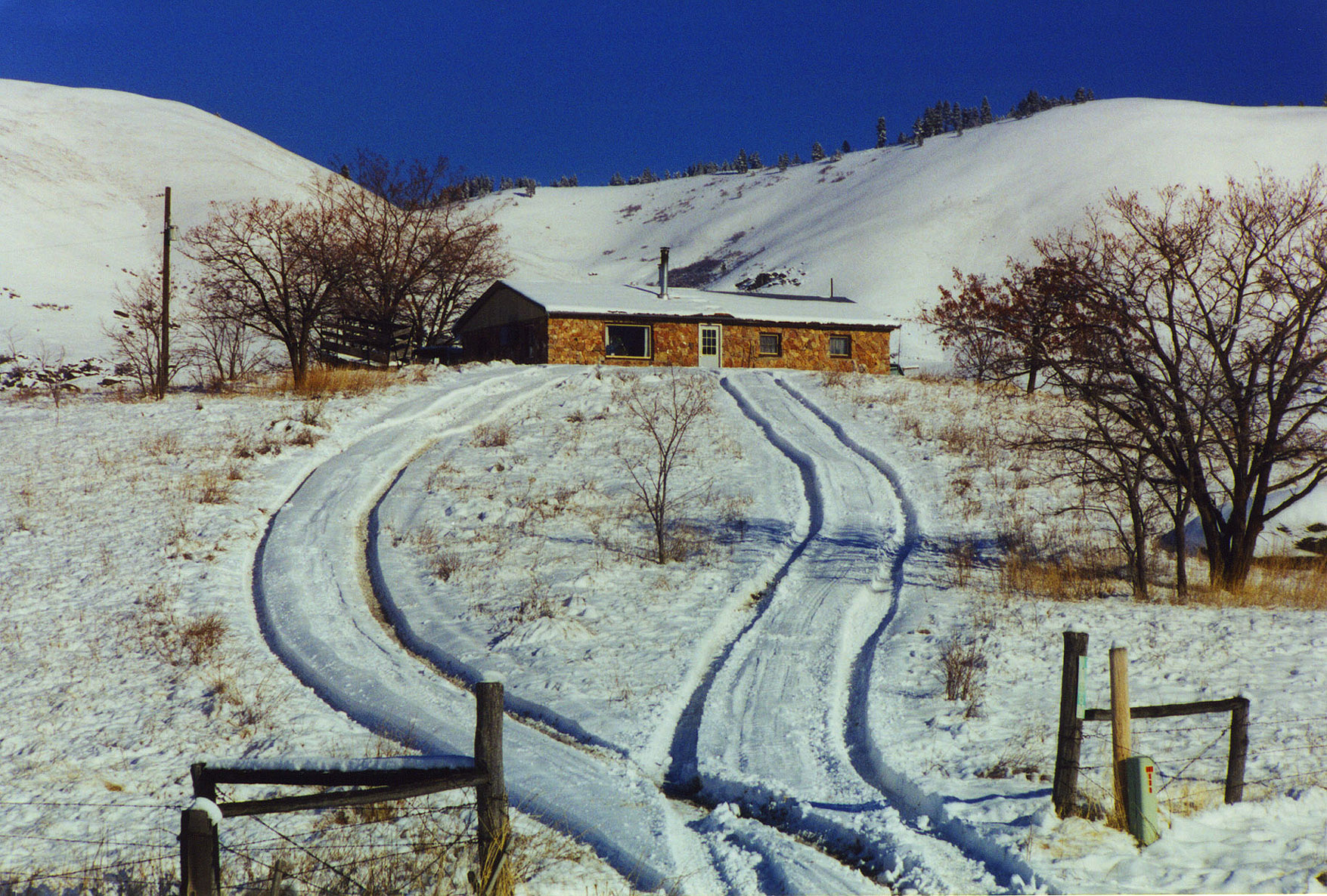 winter, two rds lead to home